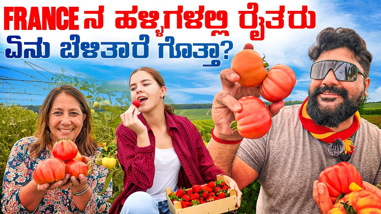 ತರಕಾರಿ ಹಣ್ಣಿನ ಬೆಲೆ ಕೇಳಿದರೆ ಅಷ್ಟೇ 😳Amazing French Village farming | Global Kannadiga 💫