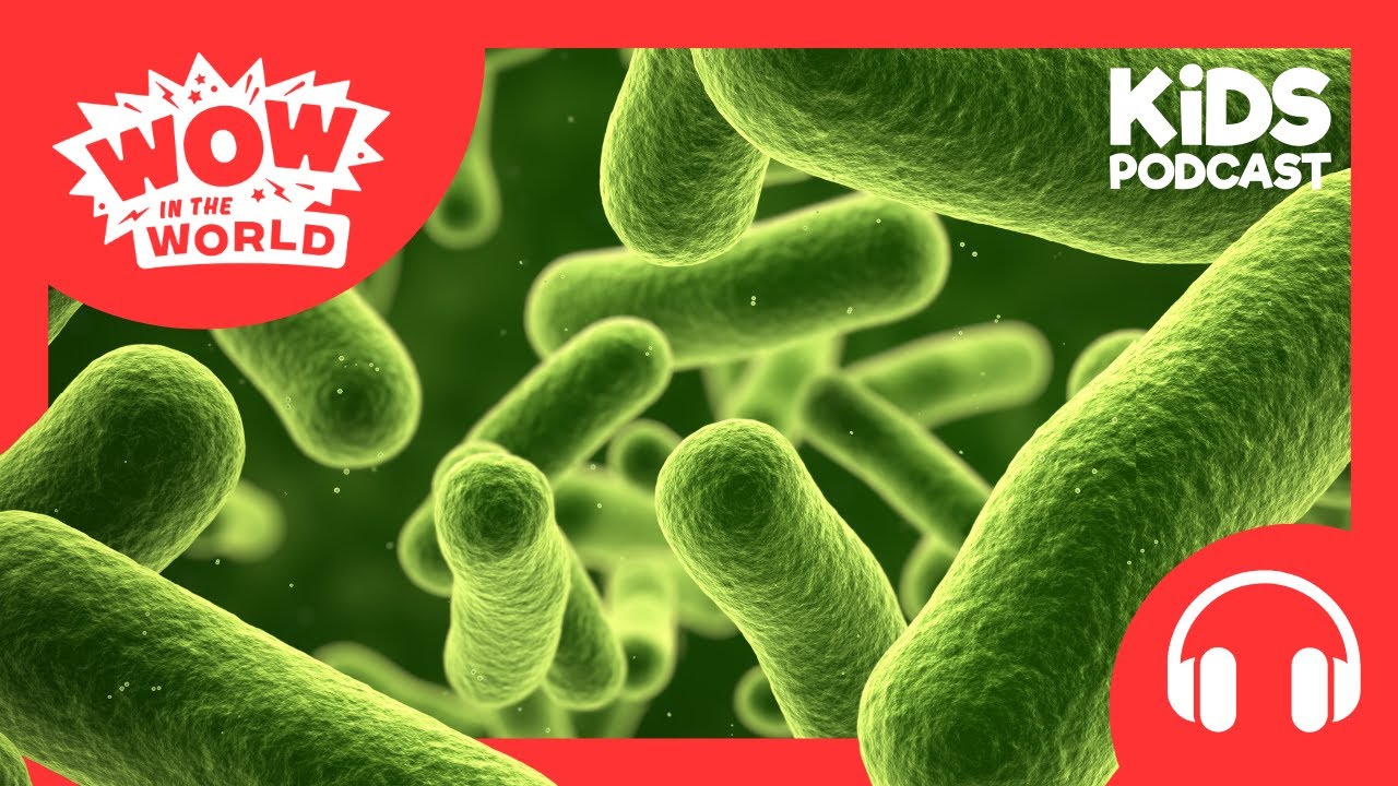 Can Bacteria Eat Plastic? 🦠 | PODCAST FOR KIDS 🎧 | Wow in the World (Full Episode)