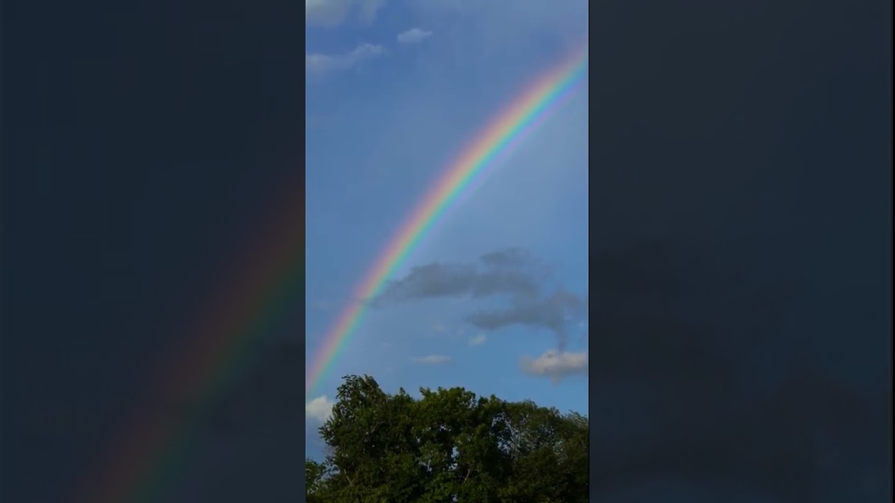 Let's chase Rainbows 🌈 #shorts #nature #rainbow #sunset #sun