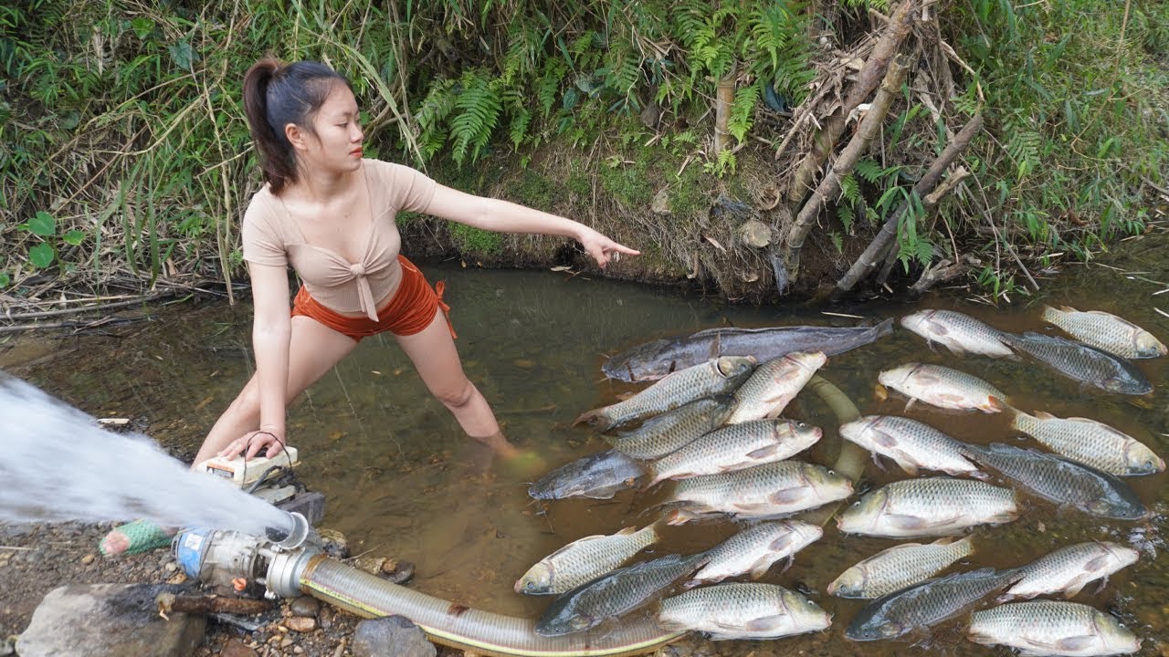 TOP VIDEOS: Young Girl's Fishing in River and Lakes, Survival Fishing Catch a Lot Of Fish