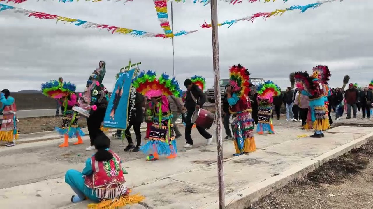 Danza a la virgen de Guadalupe tanque nuevo Zacatecas 2026 arco 
