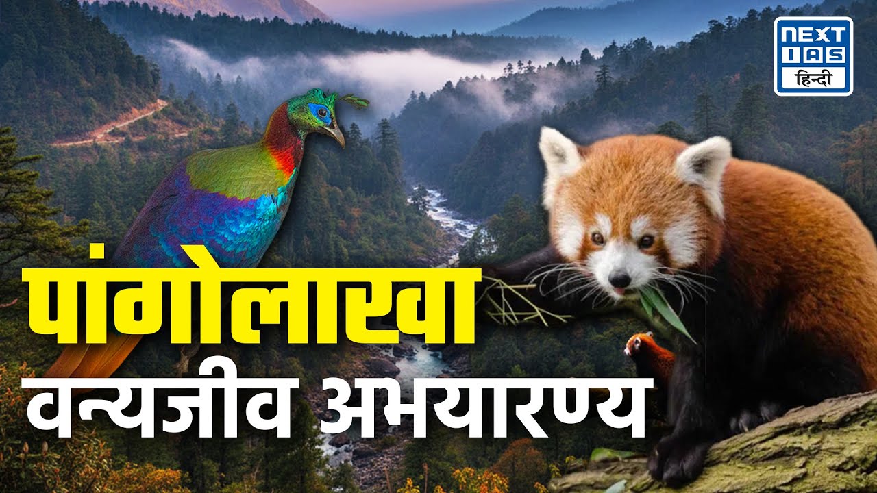 Pangolakha Wildlife Sanctuary के जंगल में आग | क्या है कारण? | Explained | NEXT IAS HINDI