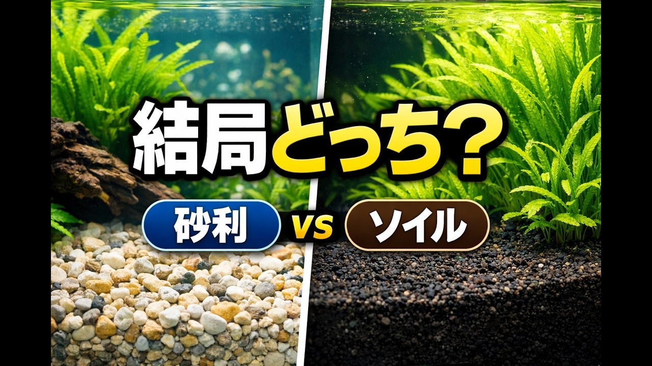 砂利とソイルの違い｜結局どっちを選ぶべき？初心者が迷う底床問題