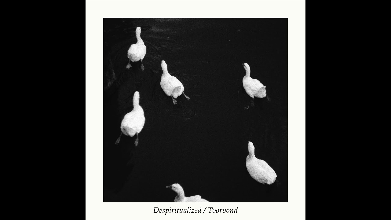 Despiritualized / Toorvond (Netherlands) - S/T (Split 2024)
