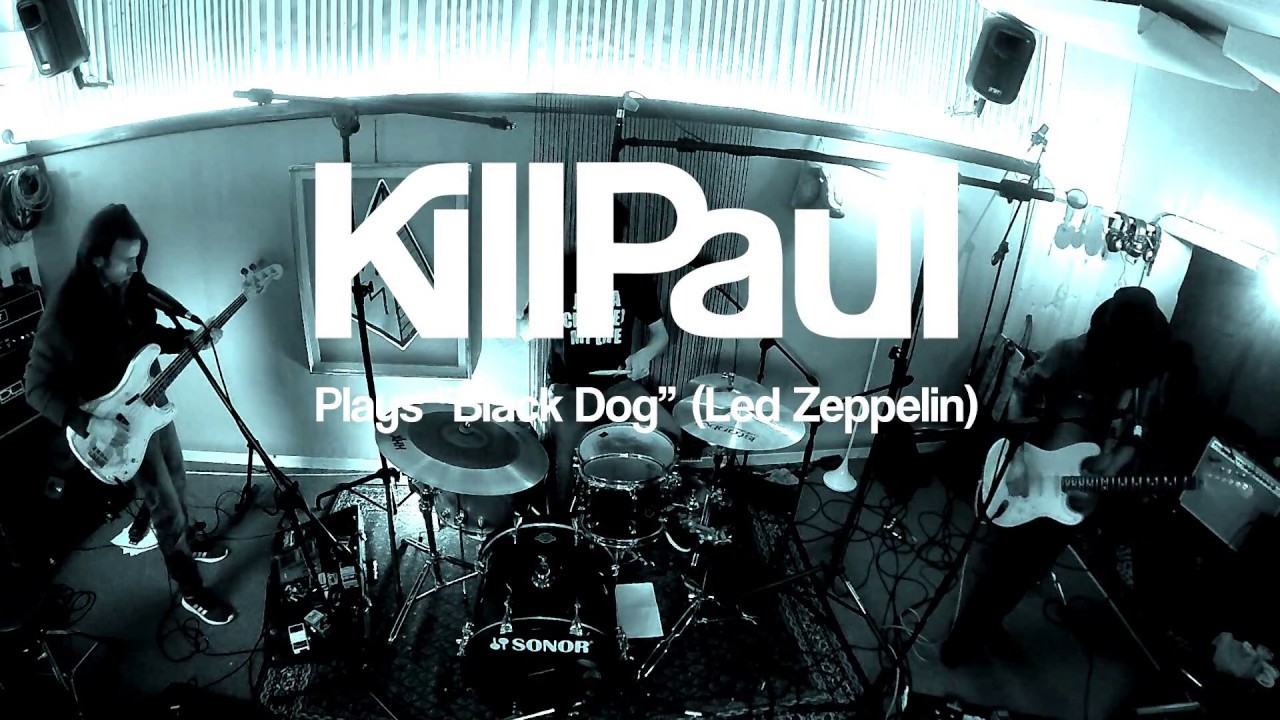 Black Dog cover by 
