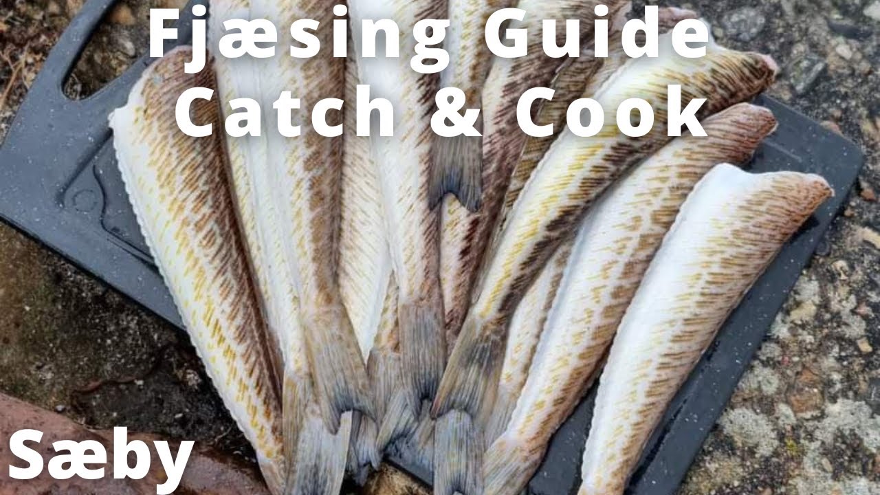 Fj&aelig;sing Guide med Catch & Cook