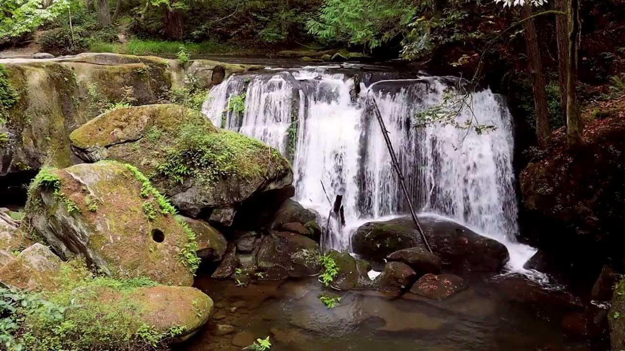Waterfall Serenity Beautiful Waterfall Sound Deep Sleep Study Relax To The Sound Of The Waterfall