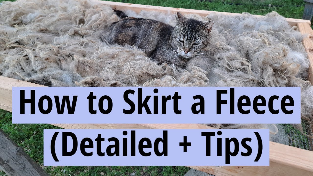 How to Skirt a Fleece (Detailed + Tips)