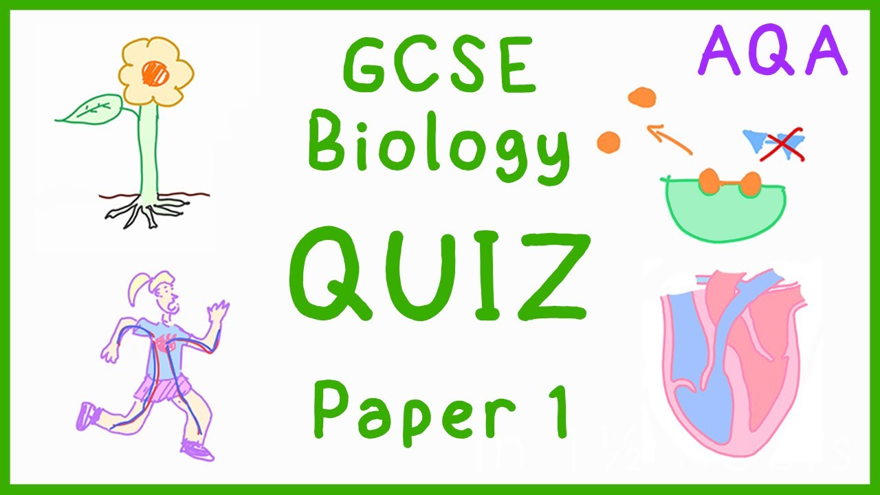 Тест 1 по биологии GCSE (AQA)