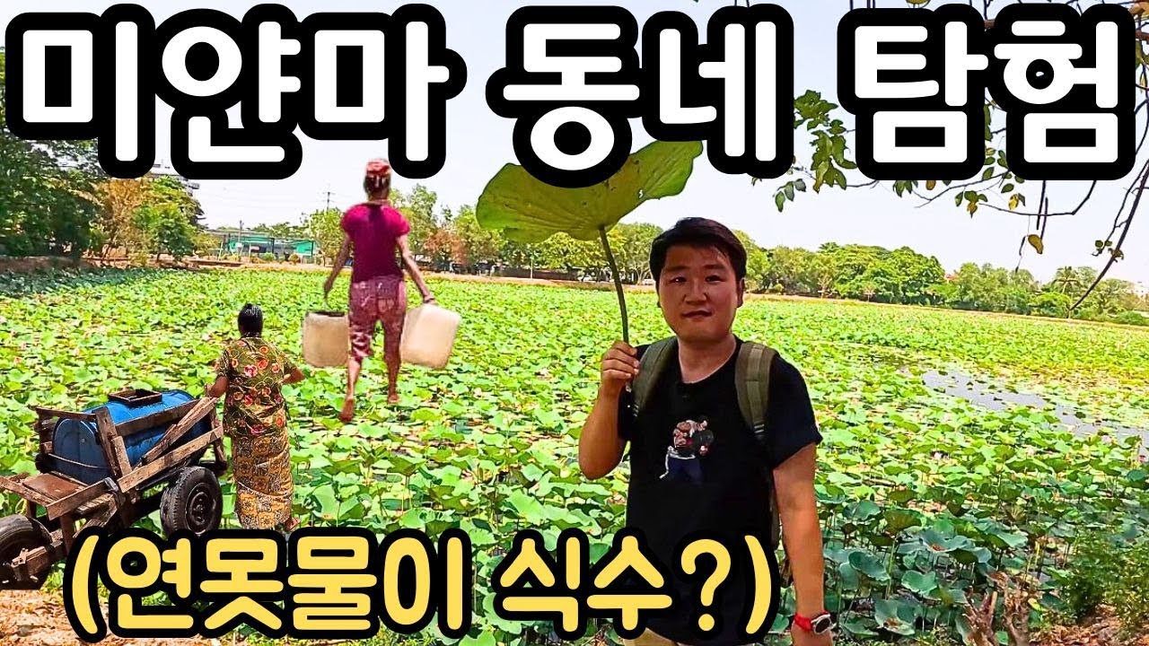 연못물이 식수라고? 가장 보통의 미얀마 동네 탐험하기 | Exploring Myanmar village | ရိုးရှင်းတဲ့ရပ်ကွက်မှာစူးစမ်းလေ့လာခြင်း