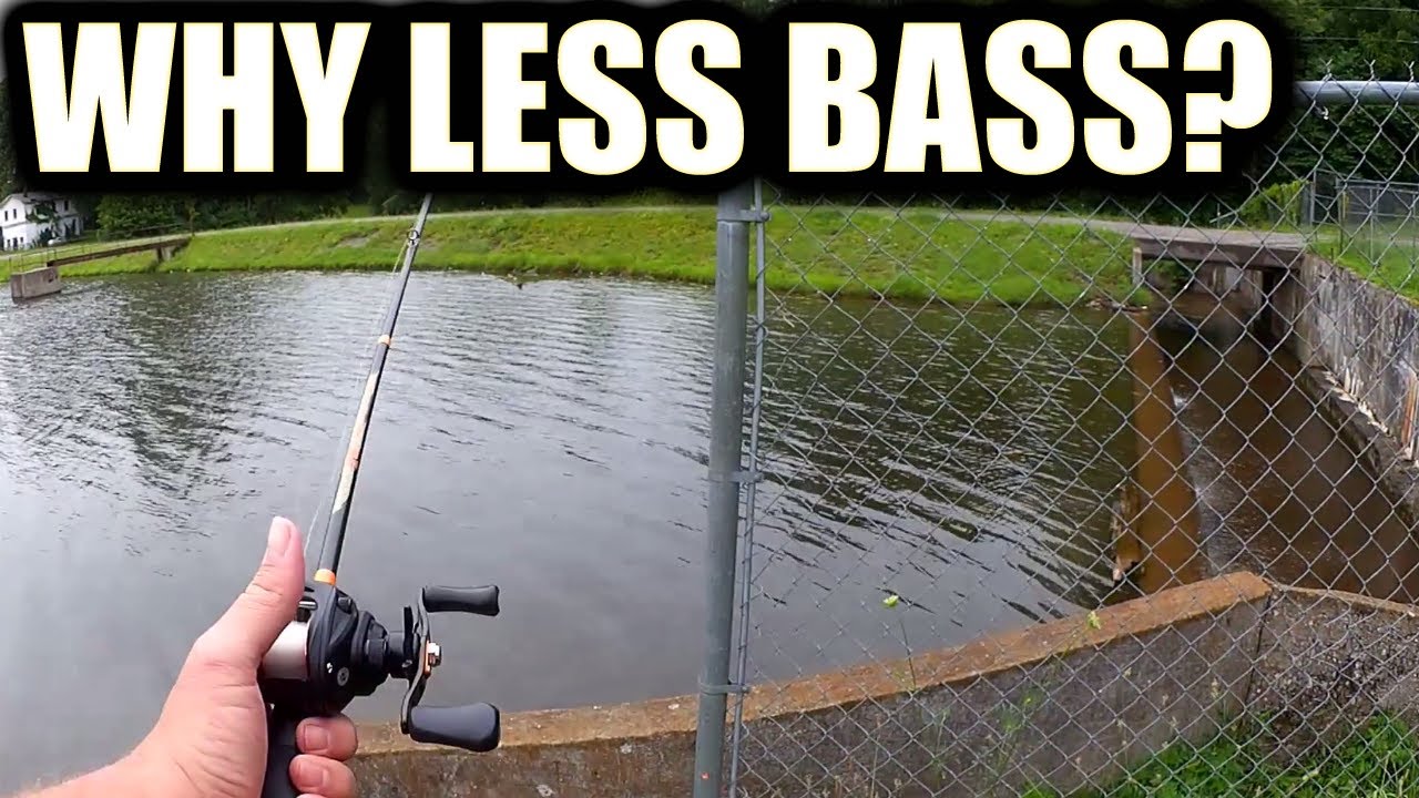 What Happened to the Bass? Why Don't the Bass Want a Swimbait Now?
