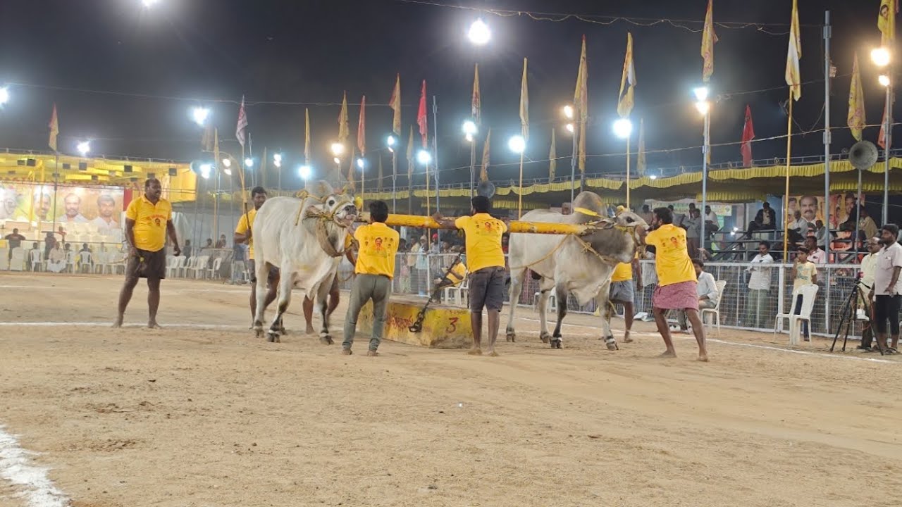 చిలకలూరిపేట సబ్ జూనియర్స్ విభాగం 10వ జత