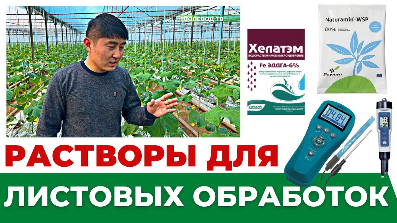РАСТВОРЫ ДЛЯ ЛИСТОВЫХ ОБРАБОТОК! #теплица #агробизнес #агроном #лайфхаки #удобрения #огурцы #томаты