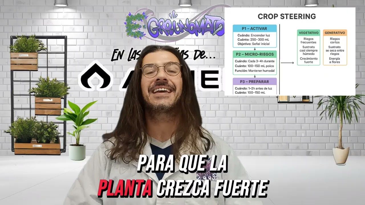 En las Entrañas de Athena!!! Crop Steering for dummi*s! 🤣 Aprendelo ya!