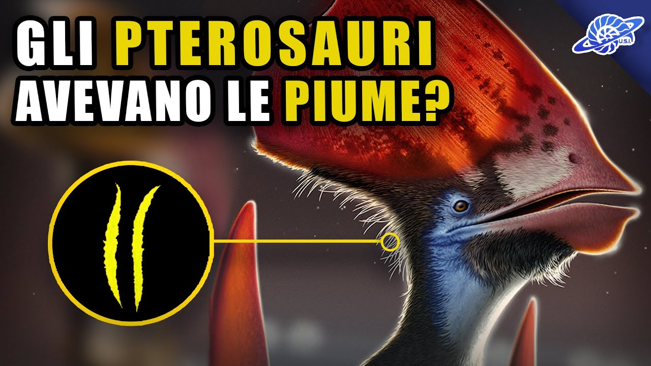 Gli PTEROSAURI avevano le PIUME?