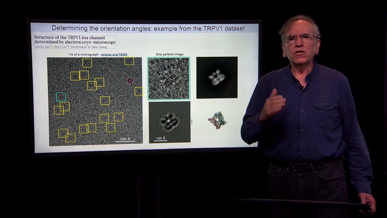 CryoEM 1.1 Two Astonishing Phenomena