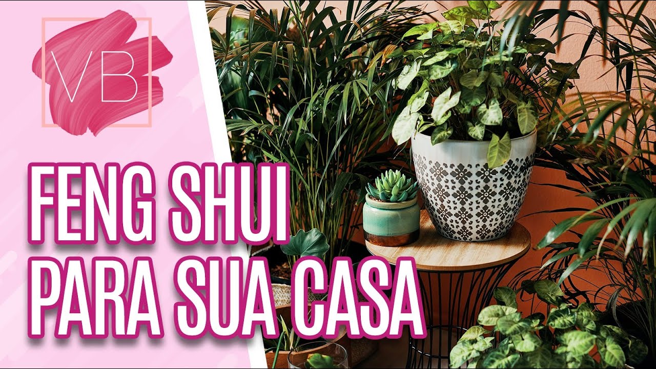 PLANTAS ideais para cada cômodo da sua CASA - Você Bonita (01/01/2024)