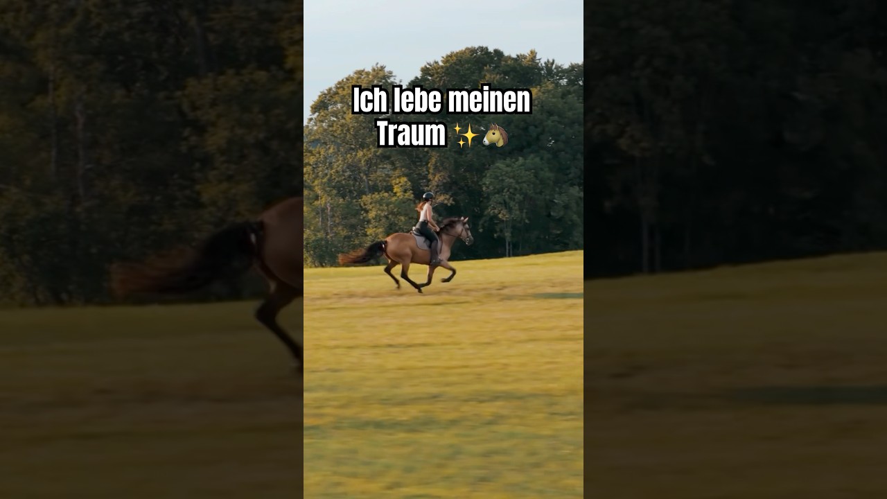 Das ist mein Leben!🐴✨🥰 #pferde