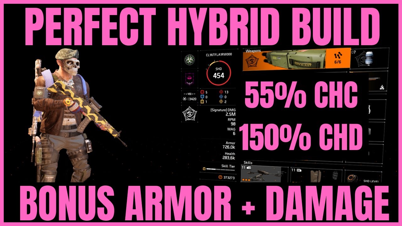 The Division 2 - PERFECT SOLO HYBRID BUILD!! Huge Damage Buffs!