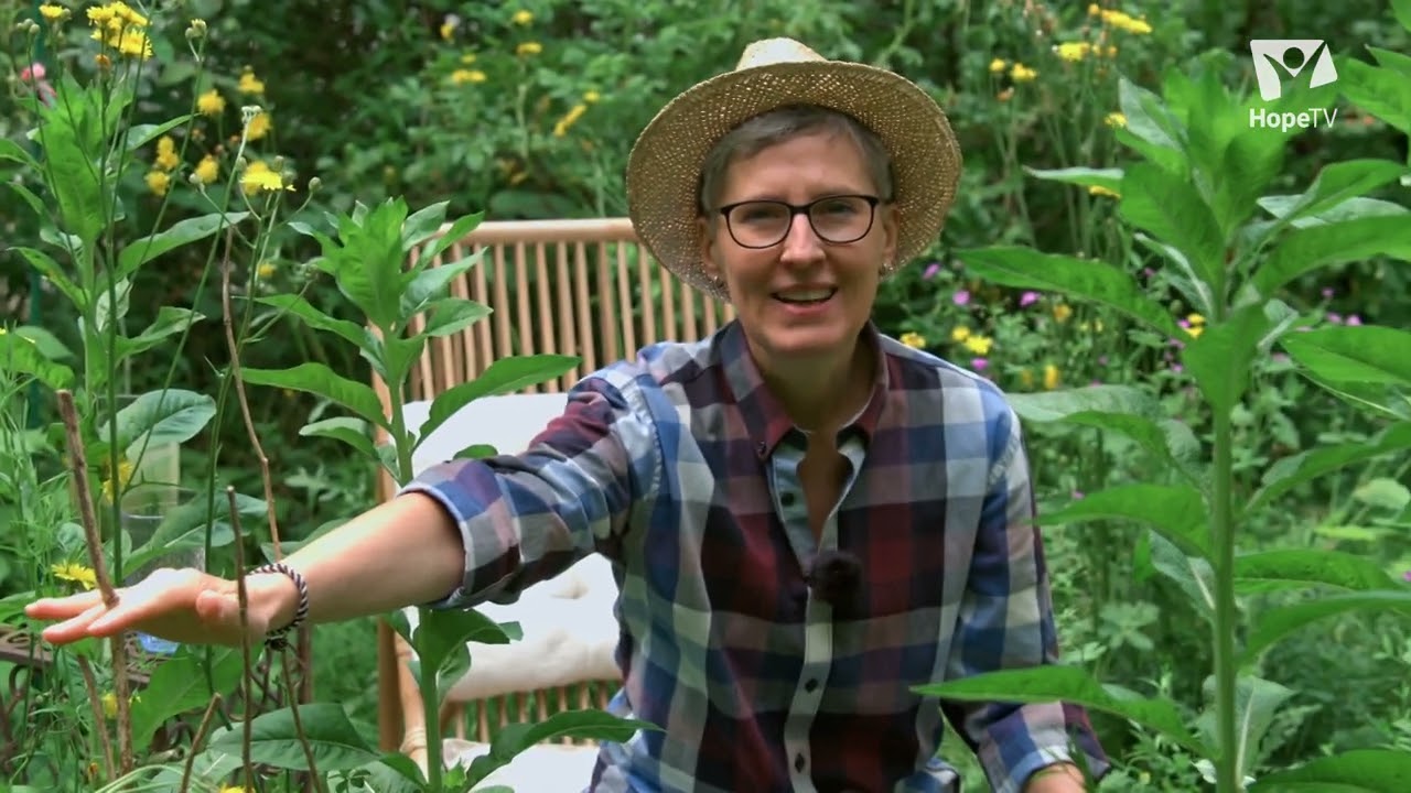 Hurra, der Giersch ist da | „Gabis Garten“ mit Gabi Pratz
