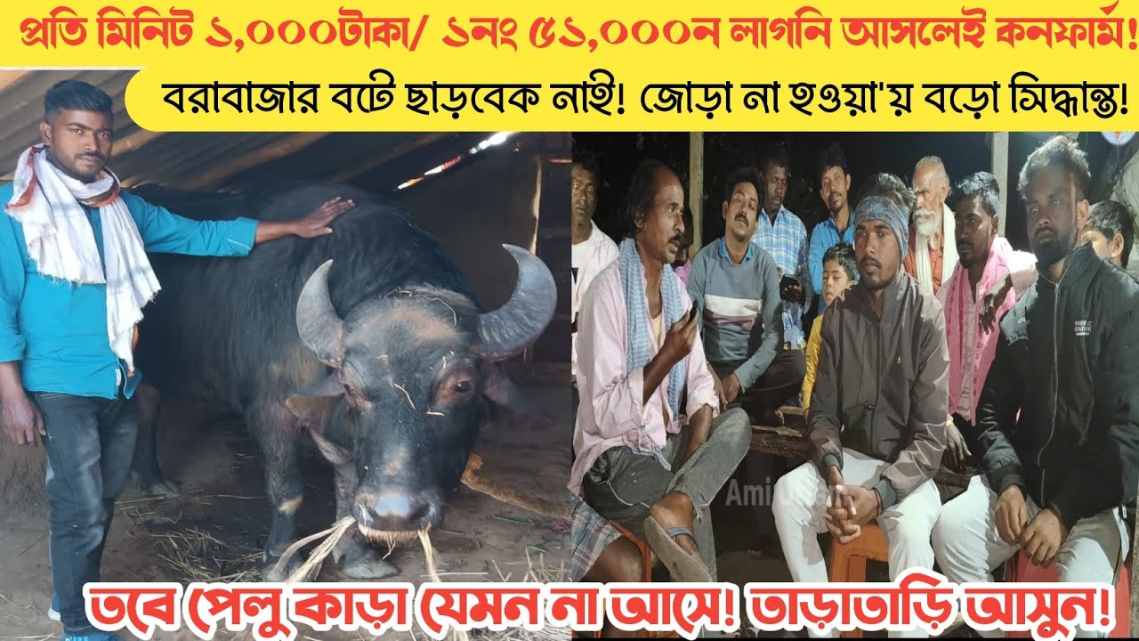 মিনিটে মিনিটে ১,০০০টাকা/ ৫১,০০০টাকা প্রাইজ তাও আসুক আসলেই কনফার্ম দিবো! সম্পূর্ণ সাক্ষাৎকার।।