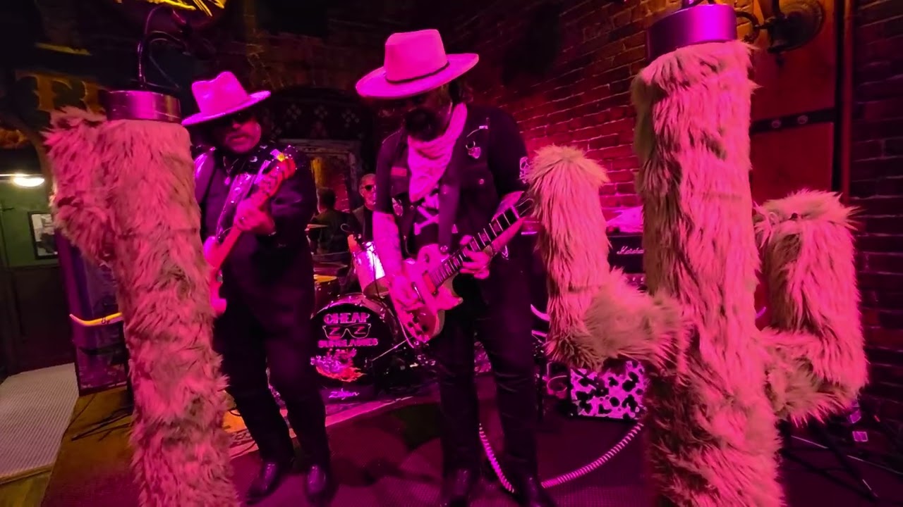 Cheap Sunglasses ZZ Top Tribute Band 