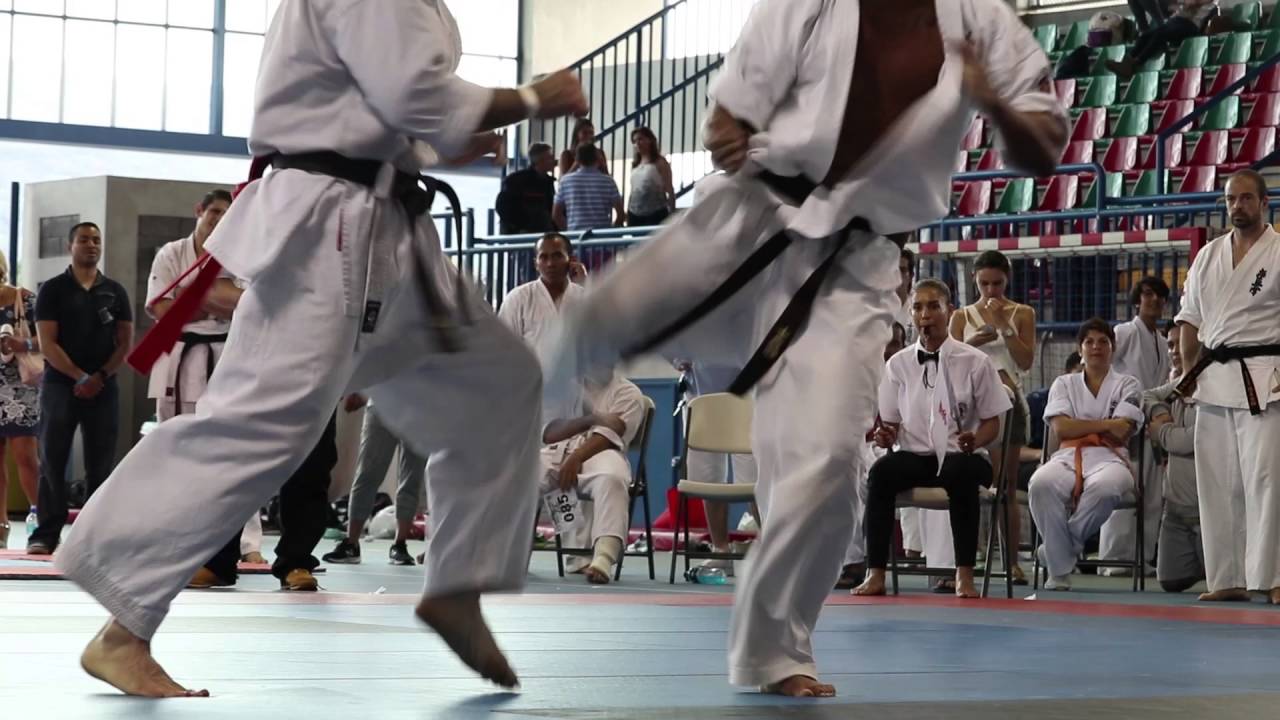 Bushido Challenge 2016 (Full Contact Karate Tournament) Kyokushinkai/Shidokan