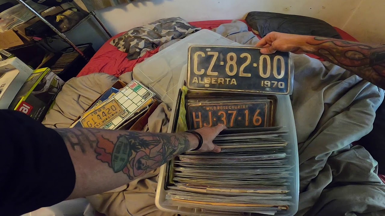 My License Plate Collection as of 2020