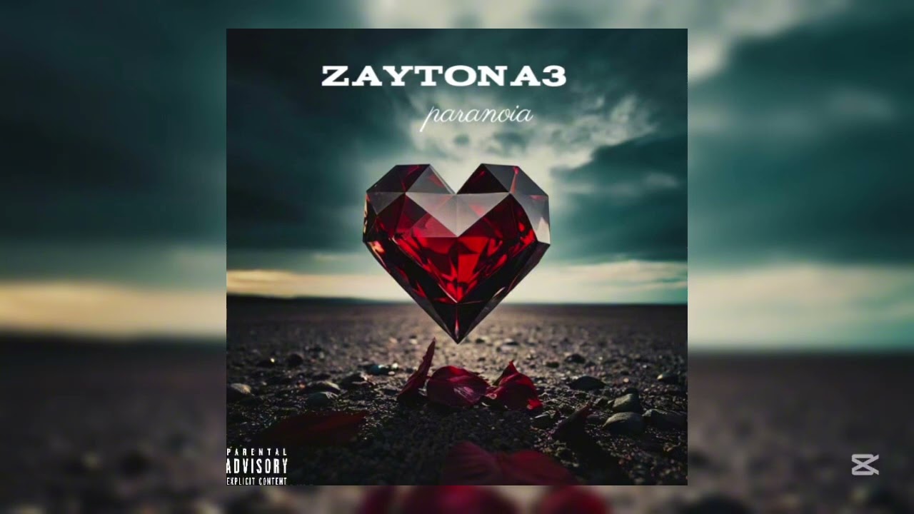 PARANOIA _ zaytona 3 (audio official)