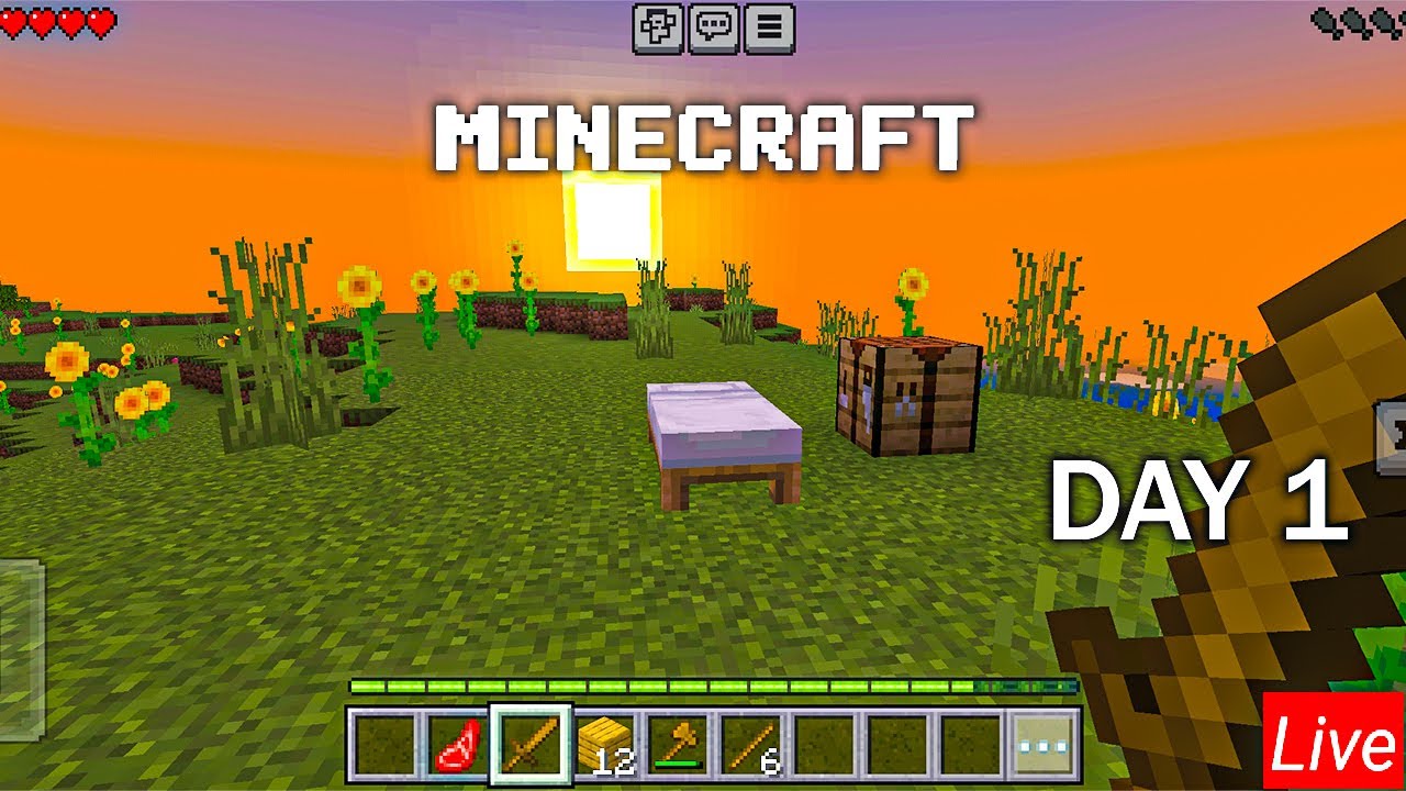 minecrraft  live