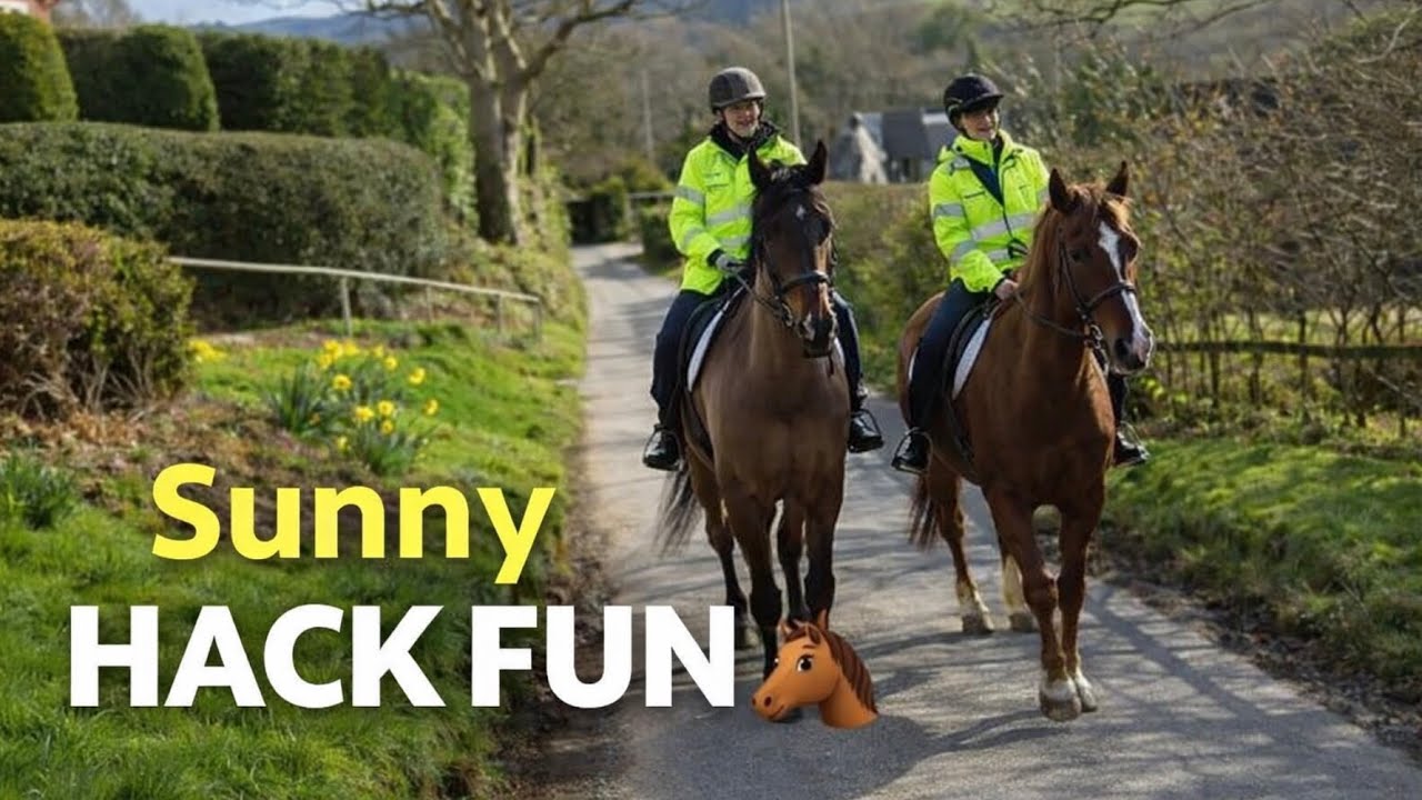 Perfect Horse Days = Sunny Hack with Friends and Well-Behaved Horses 