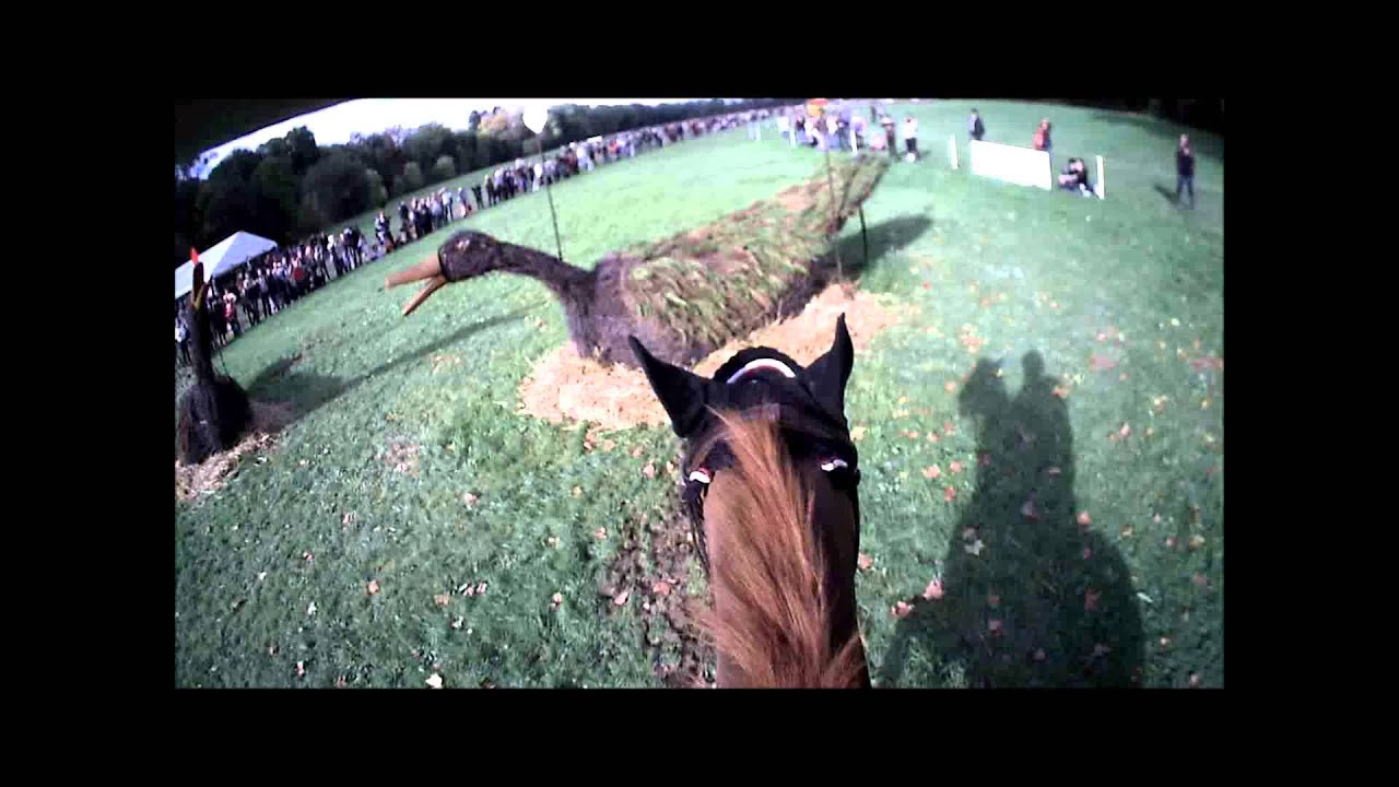 Cambox ISIS - caméra embarquée à cheval avec Donatien SCHAULY - Cross au Lion d'Angers (49)