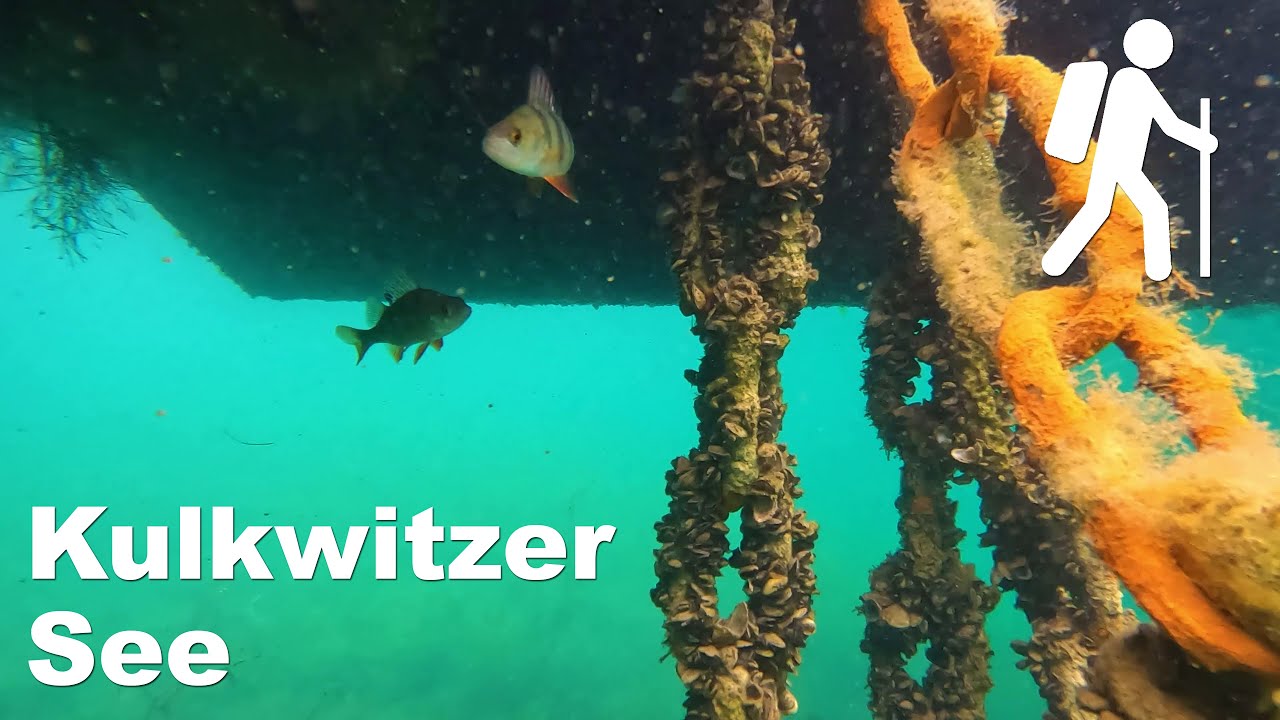 Kulkwitzer See, Leipziger Neuseenland | RunTheLake 2022 | Wandern in Sachsen | 4K