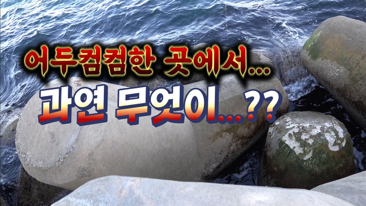 최고의 조과를 기록한다는 구멍치기 !!  방파제 컴컴한 구멍속에 바늘을 넣어보자~~! /sea-hole fishing.