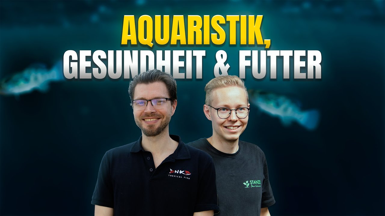 Alles rund um Aquaristik | Livestream #01