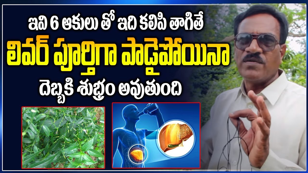 మీ లివర్ పూర్తిగా పాడైపోయిన ఈ ఆకూ తింటే దెబ్బకి శుభ్రం అవుతుంది | liver cleansing remedies in telugu