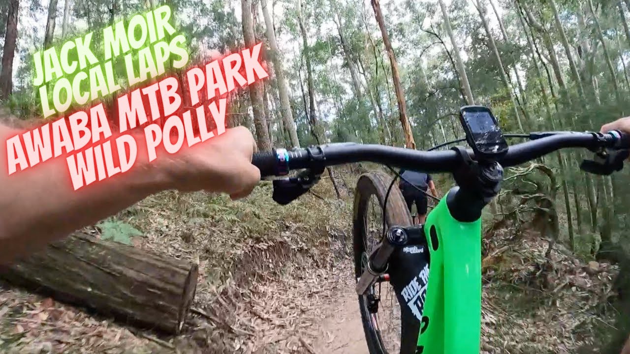 Jack Moir Local Laps - New Awaba Mountain Bike Park Trail Wild Polly
