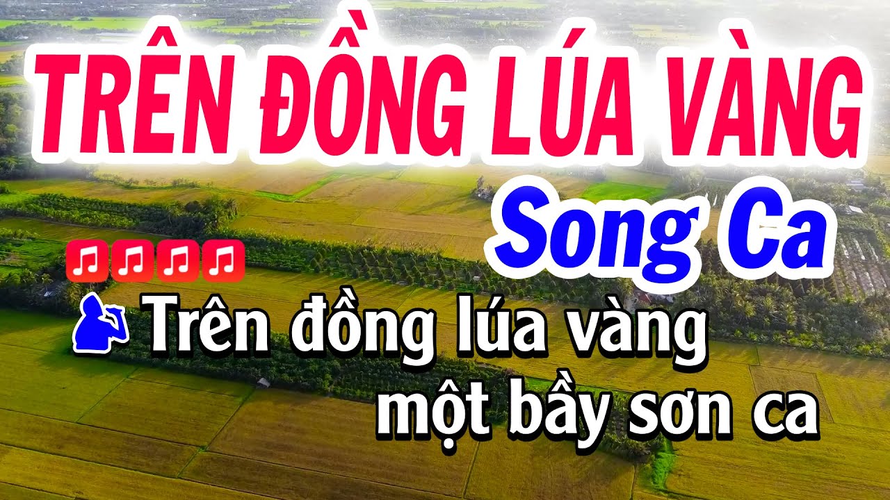 Tình Ca Trên Lúa Karaoke Song Ca Dễ hát ( La Thứ ) Karaoke Tuyết Nhi | Trên Đồng Lúa Vàng