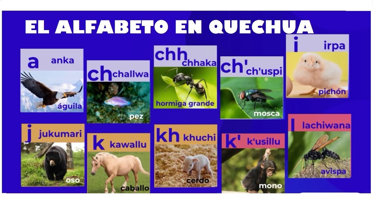 Alfabeto quechua cantando 2020