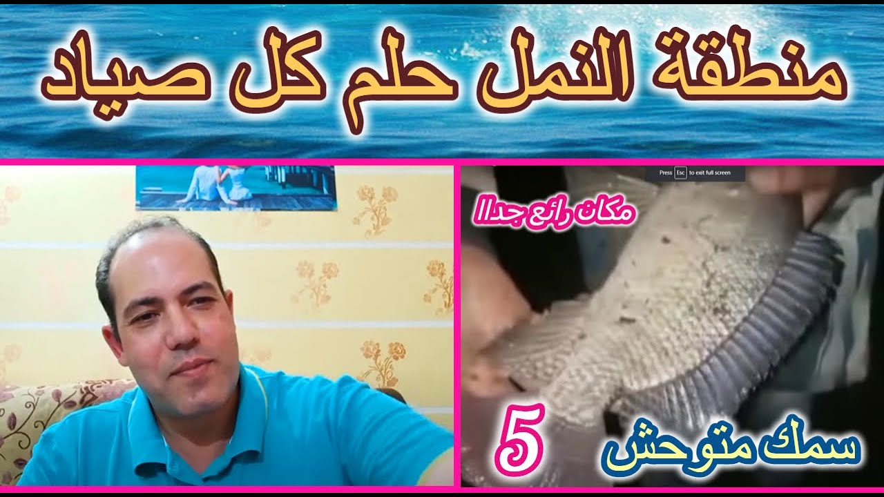( منطقة النمل )  حلم كل صياد فيديو رقم 5