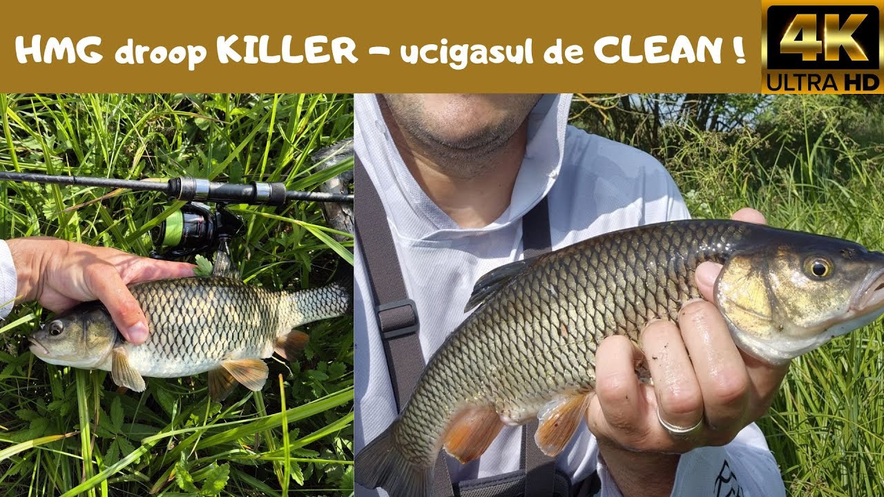 🎣SENZATIE pe rau salbatic la CLEAN ! Am prins zeci de cleni la spinning cu vobler FLOATING. C&R !