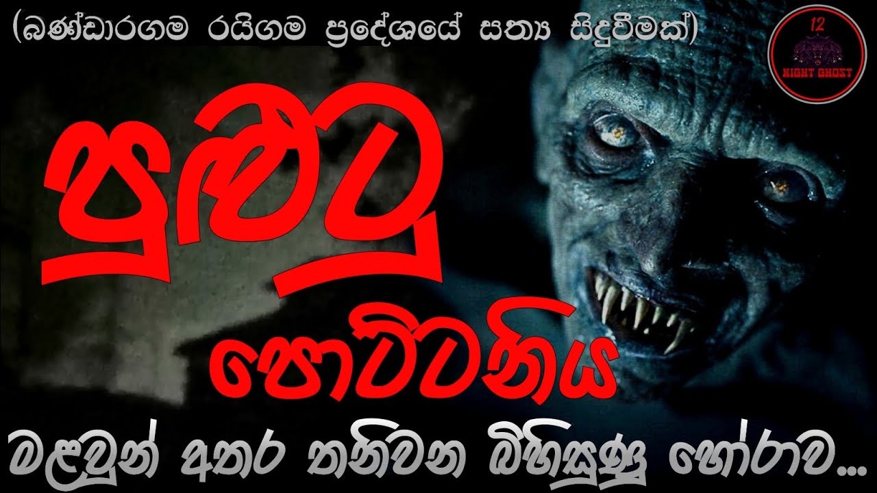 පුළුටු පොට්ටනිය | @12NightGhost  | Holman katha | Holman katha sinhala | Ghost story 103