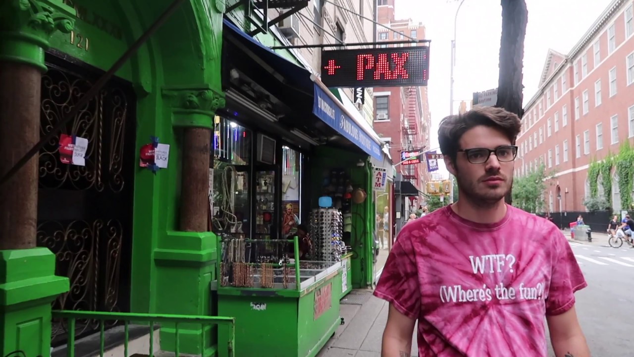 Slaughter Beach, Dog - 'Birdie'