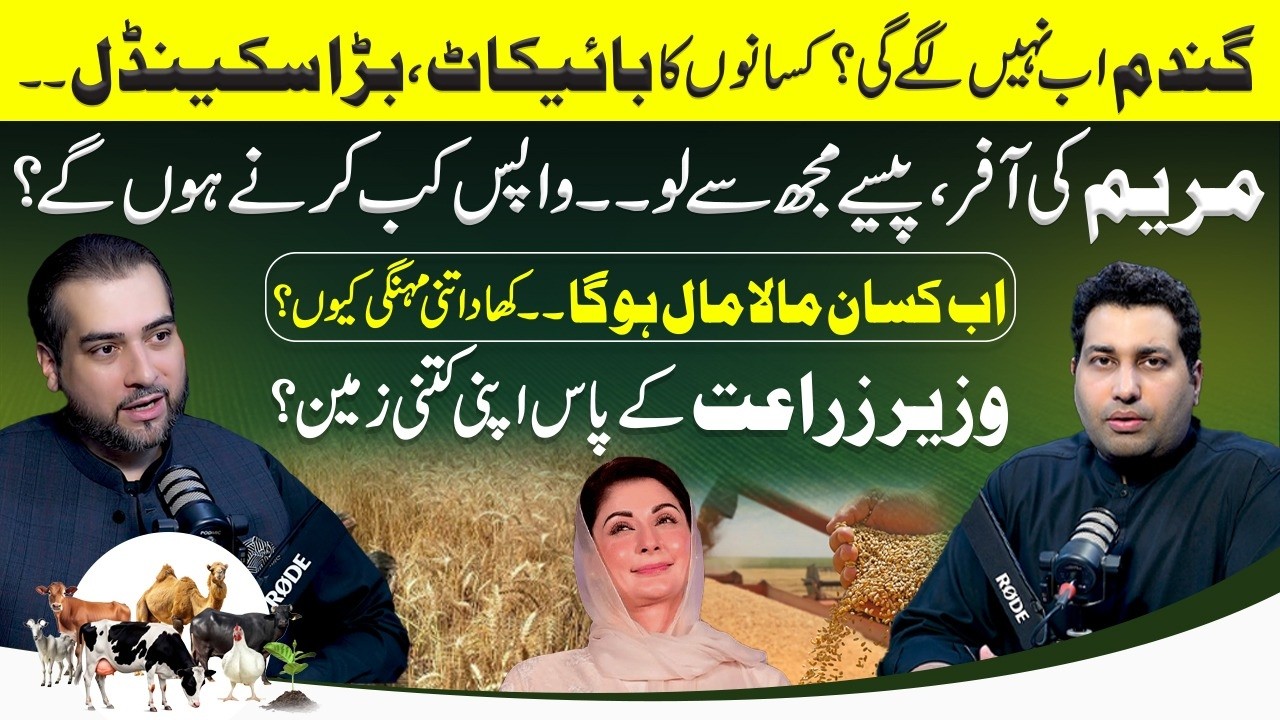 Syed Muhammad Ashiq Hussain Kirmani Reveals Maryam Nawaz Farmer Relief & Wheat Crisis in Punjab