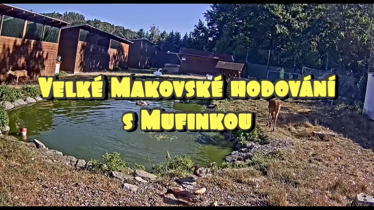 Velké Makovské hodování s Mufinkou.🌞 ( září 2024 )