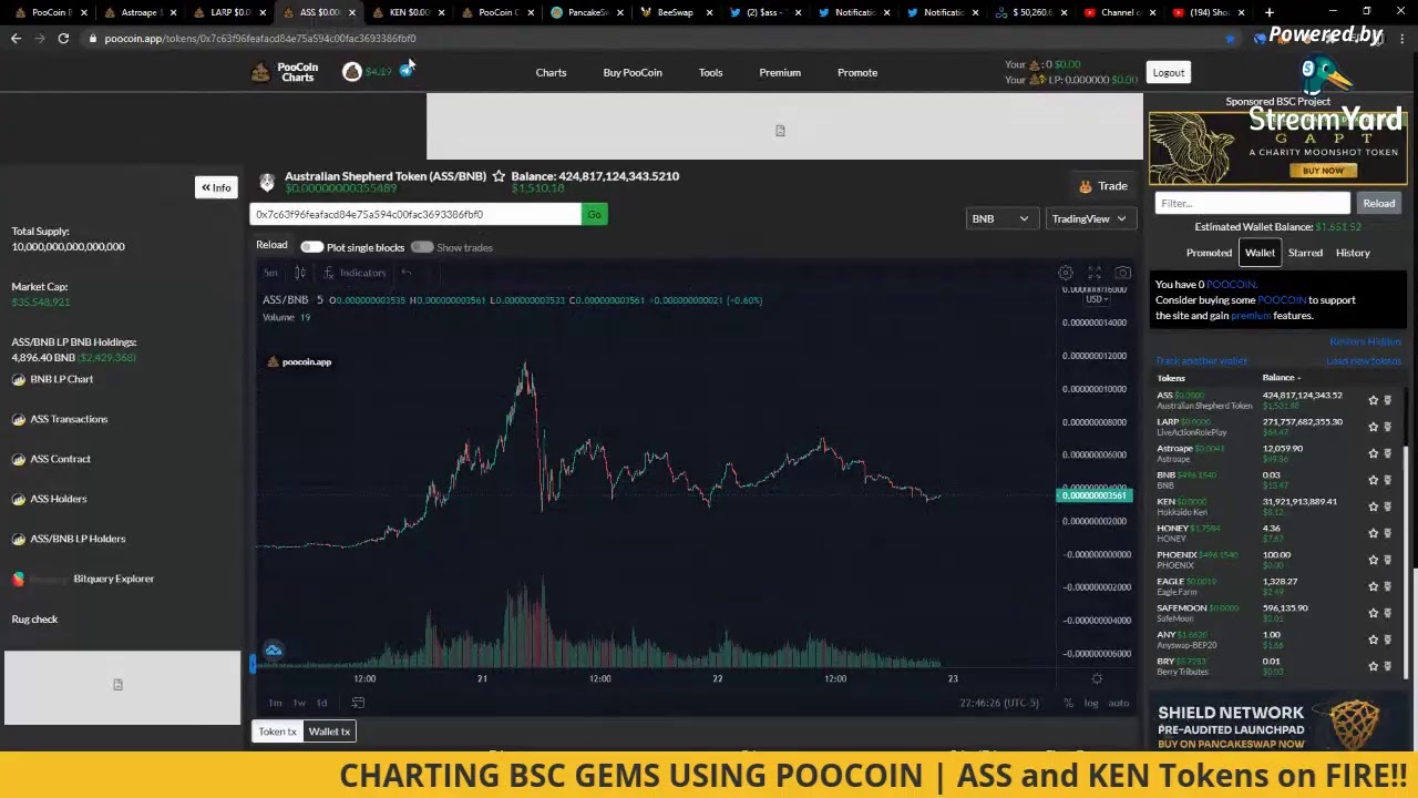 Tracking BSC | Binance Smart Chain Gems using PooCoin App