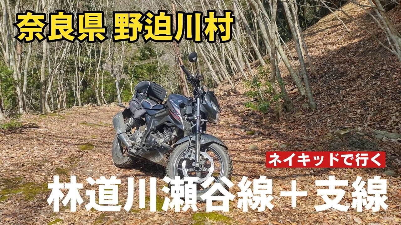 野迫川村 林道川瀬谷線 川瀬棚支線 ネイキッドで行く GSX150バンディット 2026年3月