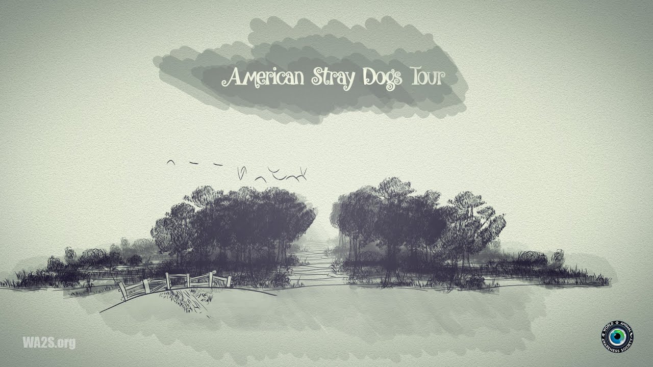 American Stray Dogs Tour Produced By WA2S Films