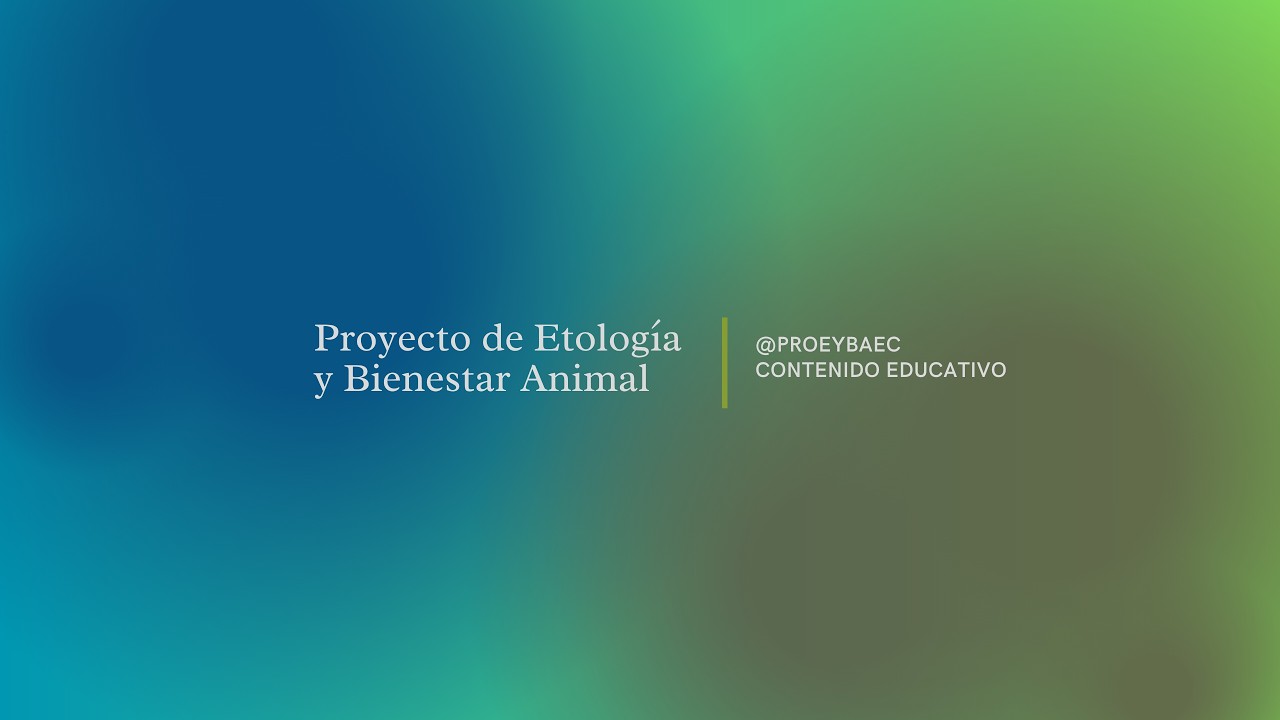 Animales de Laboratorio - C&oacute;rdova (A)