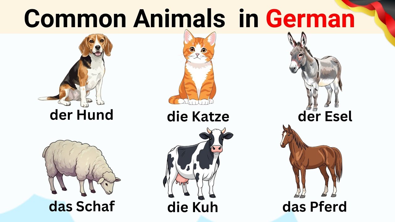 Common Animals in German | German for Beginners | Animals Names in German | German Vocabulary